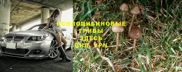 спайс Надым