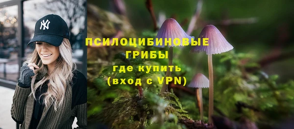тгк Алагир