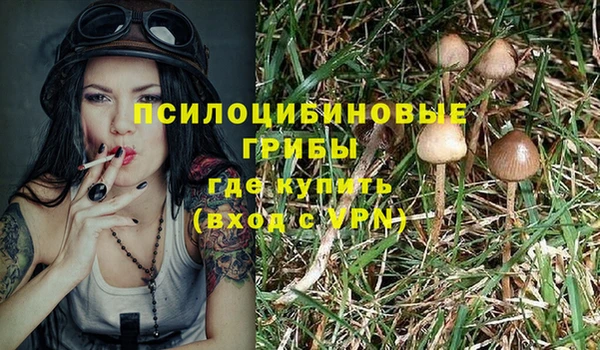 гидра Нефтегорск