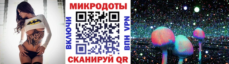 Псилоцибиновые грибы прущие грибы  Нахабино 