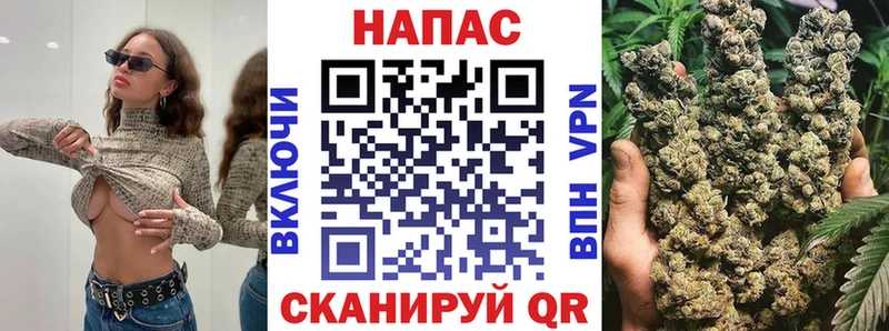 Конопля планчик  где найти   блэк спрут ТОР  Нахабино 